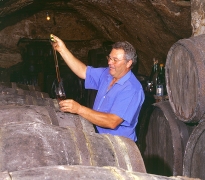 Viticulteur dans une cave