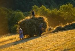 Agriculteurs Ariège, Foin