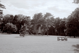 La solitude d'une lectrice, Rueil-Malmaison, parc de la Malmaison