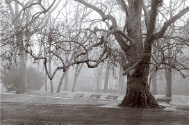 Le soleil a rendez-vous avec les bancs, Paris, parc Monceau