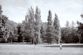 Un grand espace pour courir, Rueil-Malmaison, parc de la Malmaison