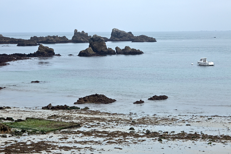 Sur cette terre battue par les vents, les rochers d’Ouessant se dressent fièrement face à l’océan. Sculptés par le temps, ils racontent la force et la beauté sauvage de l’île.