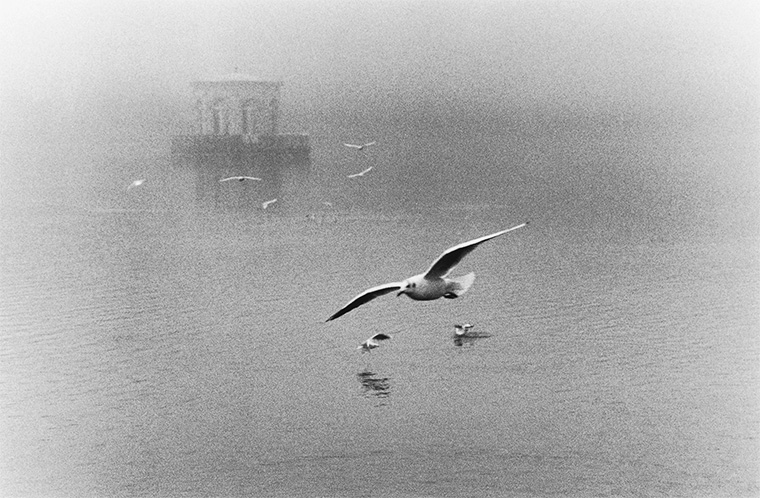 Le kiosque sous le brouillard, Fontainebleau, novembre 1986