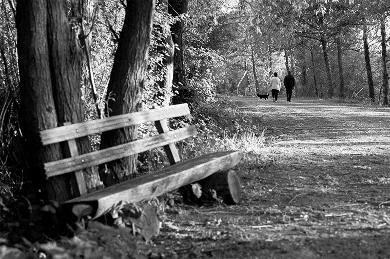Couple accompagné de leur chien en balade, Rueil-Malmaison, mai 1987