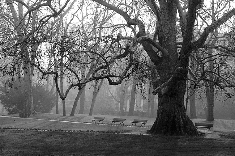 Des bancs tôt le matin, parc Monceau, Paris, novembre 1985