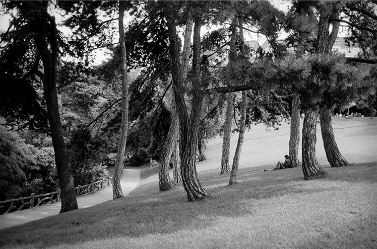 Un un petit coin paisible, une personne seule assise au dos d&#039;un arbre, Paris, les buttes Chaumont, septembre 1987