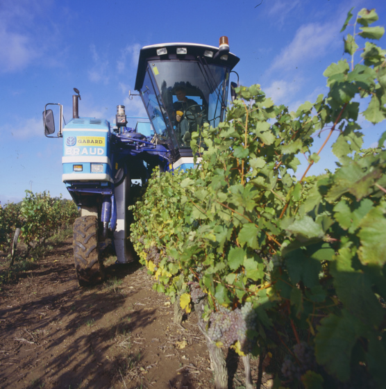 Machine à vendanger